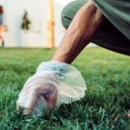 Saco Higiênico Para Cães 30un - Theoto