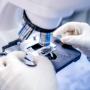 Lâmina Fosca 26 x 76 mm 50un - Labor Import