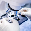 Lâmina Fosca Lápidada 26 x 76 mm 50un - Wiltex