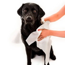 Toalha Descartável 44cm Rolo 80m 100un - Medix