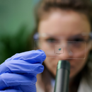 Lamina Lisa 26 X 76 mm com 50un- Labor Import