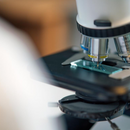 Lâmina Lisa Microscopia Lapidada 25,4 x 76,2mm 50un - Wiltex