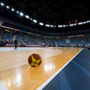 Bola de Basquete Profissional Tamanho Oficial N7 - Brasport MB