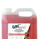 Sabonete Líquido Glicerinado 5l Romã e Maçã - Up Pro Nobre