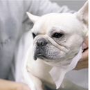 Toalha Descartável 44cm Rolo 80m 100un - Medix