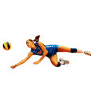 Joelheira Elástica - MB