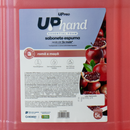 Sabonete De Espuma 5l Romã e Maçã - Up Pro Nobre