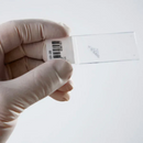 Lâmina Fosca Não Lápidada 25,4 x 76,2 mm 50un - Wiltex