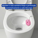Pedra Sanitária Tutti Frutti Com Suporte 25g - Mr Limp