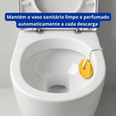 Pedra Sanitária Floral Com Suporte 25g - Mr Limp