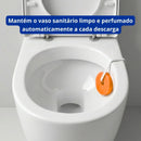 Pedra Sanitária Citrus Com Suporte 25g - Mr Limp
