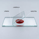 Lamínulas Para Microscopia 24x24cm 1000un - Labor Import