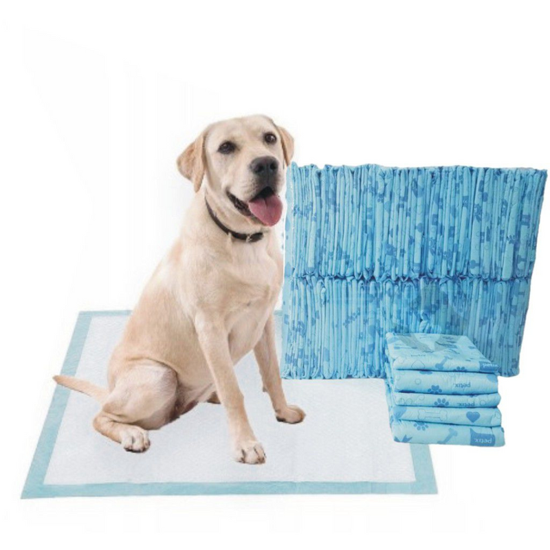 Tapete Higiênico Premium 80x60 cm 30un - Huspet