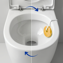 Pedra Sanitária Floral Com Suporte 25g - Mr Limp