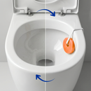 Pedra Sanitária Citrus Com Suporte 25g - Mr Limp