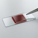 Lamínulas Para Microscopia 24x24cm 1000un - Labor Import