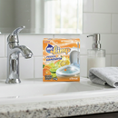 Pedra Sanitária Citrus Com Suporte 25g - Mr Limp