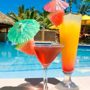 Palito Guarda Sol Para Drinks e Bebidas 144un - Inoven